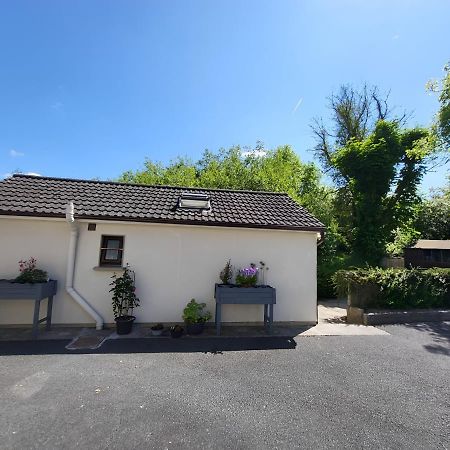 Oak Cottage 3 Km From Rock Of Cashel Кашел Екстериор снимка