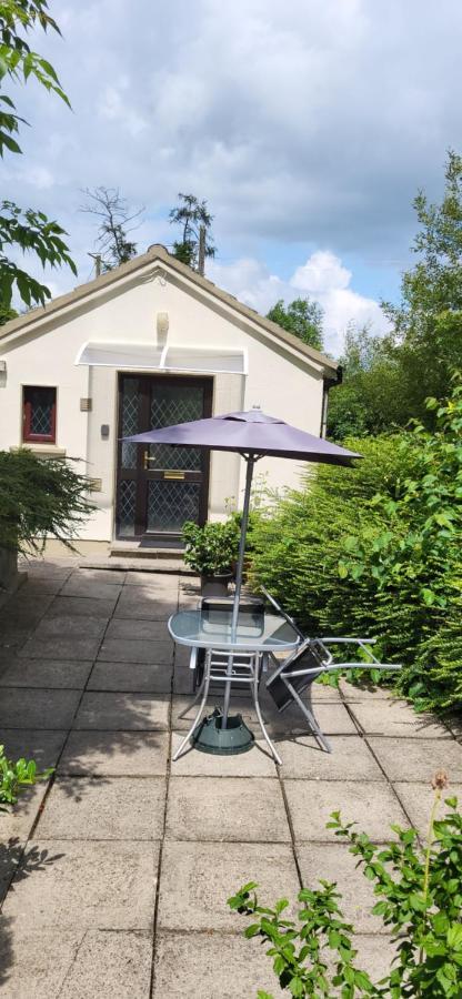 Oak Cottage 3 Km From Rock Of Cashel Кашел Екстериор снимка